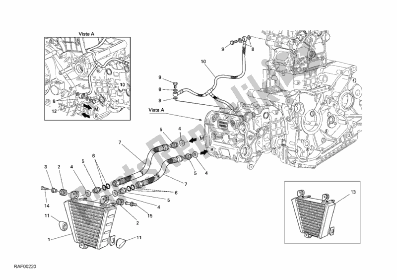 Todas as partes de Radiador De óleo do Ducati Superbike 749 Dark 2006
